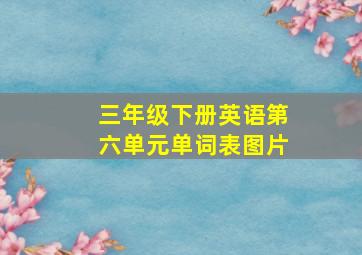 三年级下册英语第六单元单词表图片