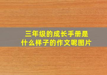 三年级的成长手册是什么样子的作文呢图片