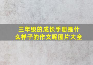 三年级的成长手册是什么样子的作文呢图片大全