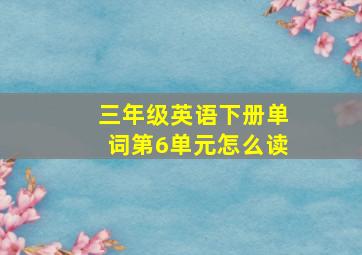 三年级英语下册单词第6单元怎么读