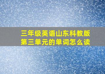 三年级英语山东科教版第三单元的单词怎么读