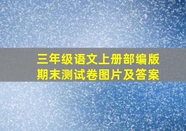 三年级语文上册部编版期末测试卷图片及答案