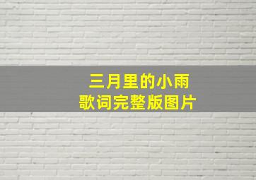 三月里的小雨歌词完整版图片