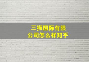 三狮国际有限公司怎么样知乎