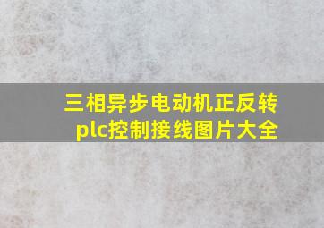 三相异步电动机正反转plc控制接线图片大全