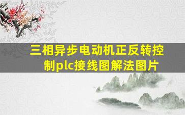 三相异步电动机正反转控制plc接线图解法图片