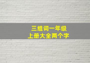 三组词一年级上册大全两个字