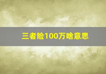 三者险100万啥意思