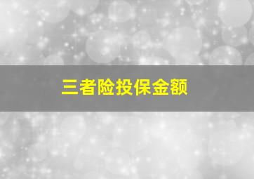 三者险投保金额