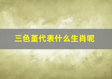 三色堇代表什么生肖呢