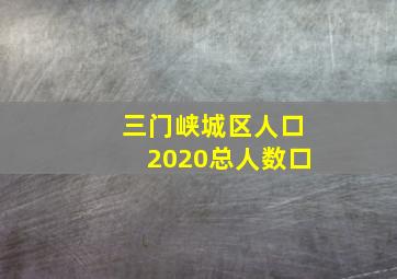 三门峡城区人口2020总人数口