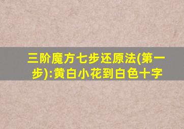 三阶魔方七步还原法(第一步):黄白小花到白色十字