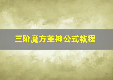 三阶魔方菲神公式教程