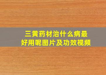 三黄药材治什么病最好用呢图片及功效视频