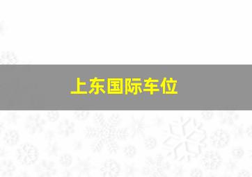 上东国际车位