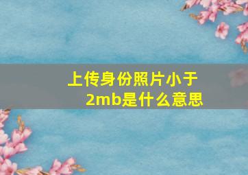 上传身份照片小于2mb是什么意思