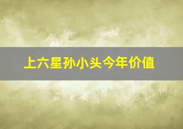 上六星孙小头今年价值