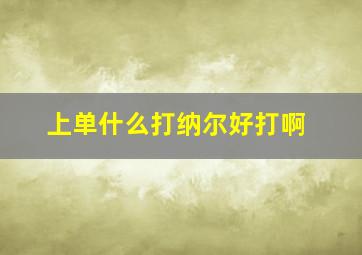 上单什么打纳尔好打啊