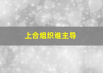 上合组织谁主导