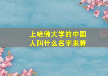 上哈佛大学的中国人叫什么名字来着