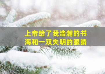 上帝给了我浩瀚的书海和一双失明的眼睛