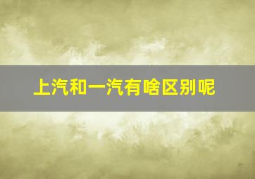 上汽和一汽有啥区别呢