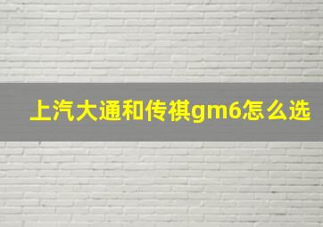 上汽大通和传祺gm6怎么选