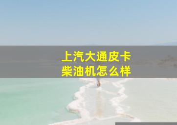 上汽大通皮卡柴油机怎么样