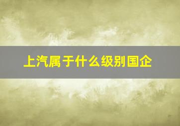 上汽属于什么级别国企