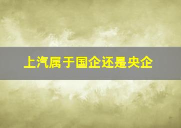 上汽属于国企还是央企