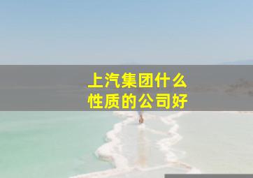 上汽集团什么性质的公司好