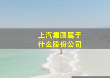 上汽集团属于什么股份公司