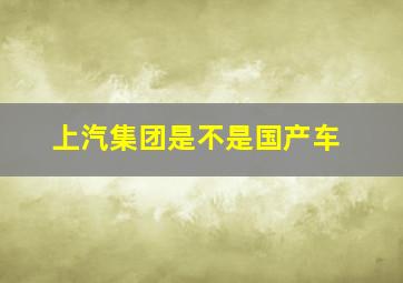 上汽集团是不是国产车