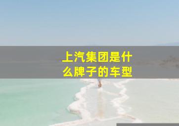 上汽集团是什么牌子的车型