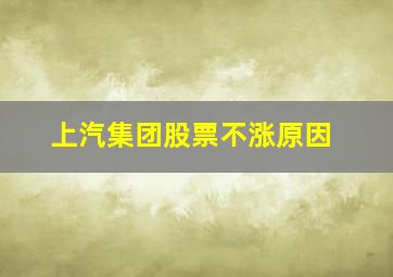 上汽集团股票不涨原因