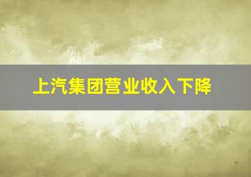 上汽集团营业收入下降