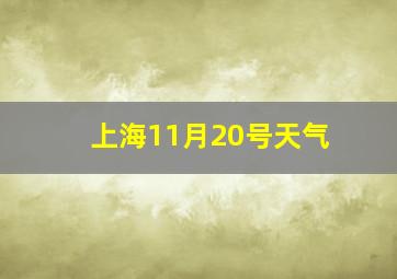 上海11月20号天气