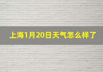 上海1月20日天气怎么样了