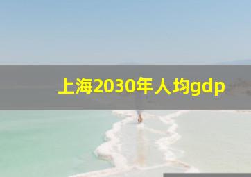 上海2030年人均gdp