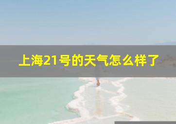 上海21号的天气怎么样了