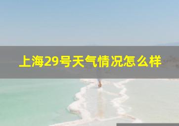 上海29号天气情况怎么样