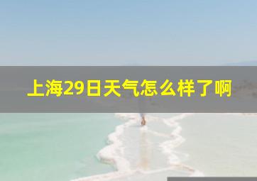 上海29日天气怎么样了啊