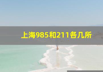 上海985和211各几所