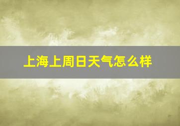 上海上周日天气怎么样