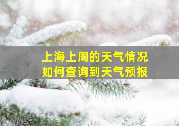 上海上周的天气情况如何查询到天气预报