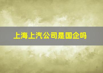 上海上汽公司是国企吗