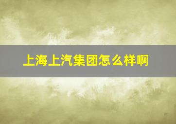 上海上汽集团怎么样啊