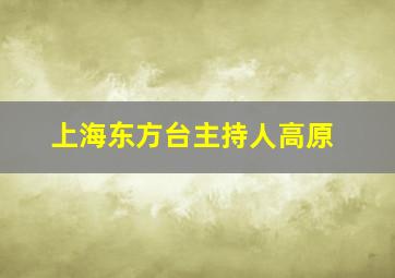 上海东方台主持人高原