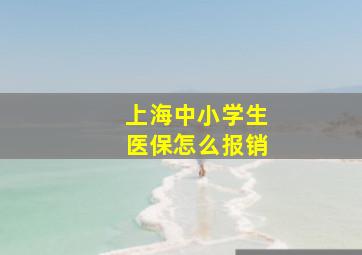 上海中小学生医保怎么报销