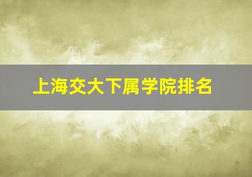 上海交大下属学院排名